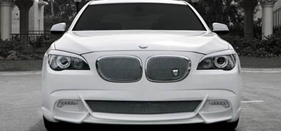 Asanti Bellano Mesh Bumper Grille BMW 750 09-11