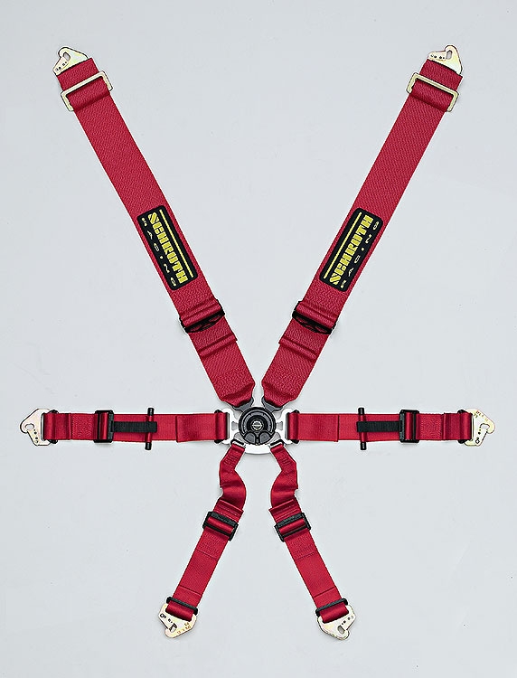 Schroth Racing Harness P2 6 Flex Snap Silver